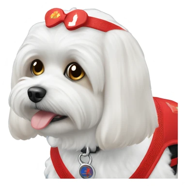 Maltese wearing a red service dog vest with to bleck straps sticker