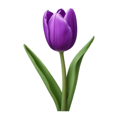 purple colour tulip sticker