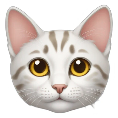 domestic shorthair cat sticker