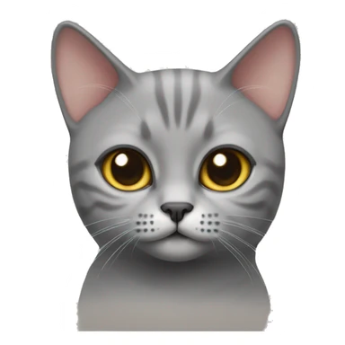 British short hair cat sticker