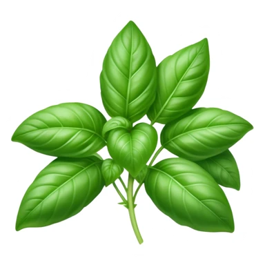 Cinematic Realistic Basil Emoji, Lush and fragrant, with vibrant green leaves that release a fresh, herbal aroma. The soft, glossy leaves are delicately arranged along slender stems, exuding vitality and flavor. Soft glowing outline, capturing the essence of freshness, growth, and aromatic delight in a blossoming basil plant! sticker