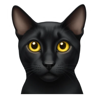Bombay cat with yellow eyes sticker