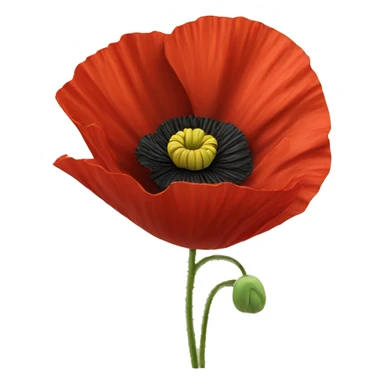 red poppy sticker