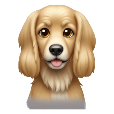 silindir şapkalı köpekbalığı sticker