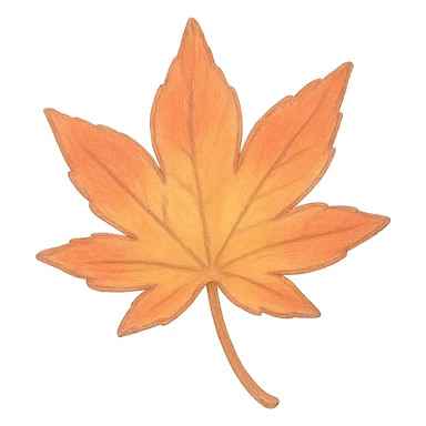 a maple leaf, Japanese soft pastel hand-drawn, full object, transparent background, with gentle highlights sticker