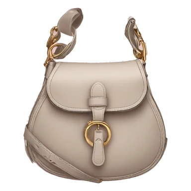 Dior saddle bag sticker
