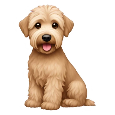 Apricot schnoodle sticker
