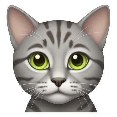 grey tabby cat with light green eyes sticker