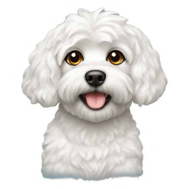 White Havapoo dog sticker