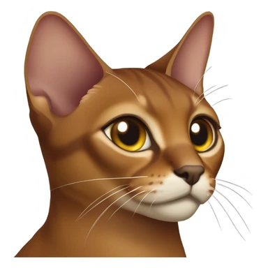Abyssinian cat sticker