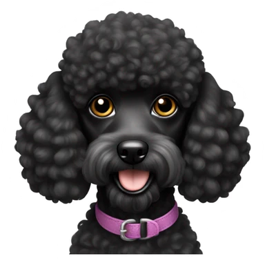 Black mini poodle sticker