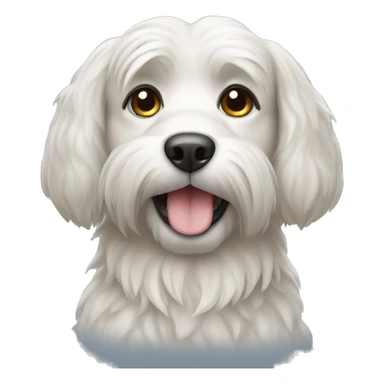 Löwchen dog sticker