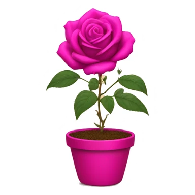 Rose in a fuchsia pot sticker
