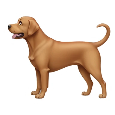 Red lab with silver lab  sticker