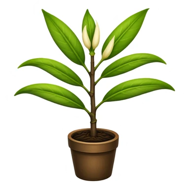 Planta de vainilla sticker