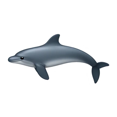 narrow ridged finless porpoise sticker