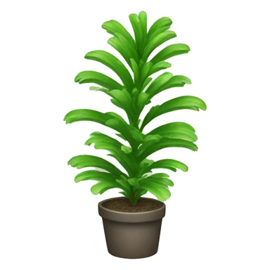 nephrolepis exaltata plant sticker