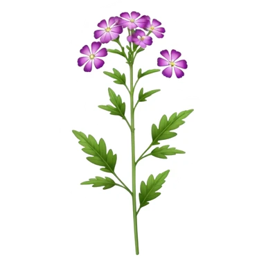 single Verbena flower, stem sticker
