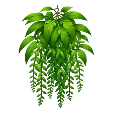 tropical jungle lianas hanging sticker