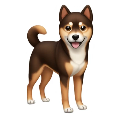 dark brown Shiba Inu sticker