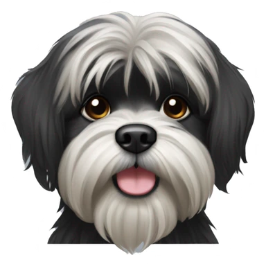 Black Lhasa Apso  sticker