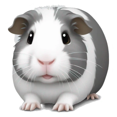 Guineapig white and grey sticker