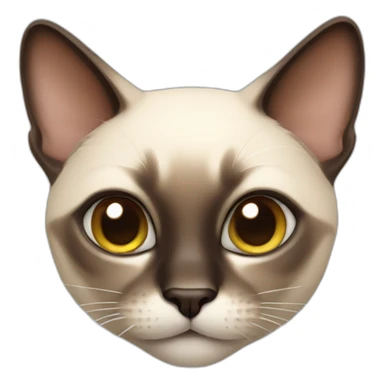 siamese cat playing sticker