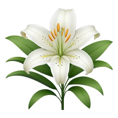 white lily flower, minimal, elegant sticker