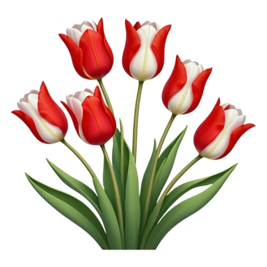 🌷Five much Tulip on white color sticker