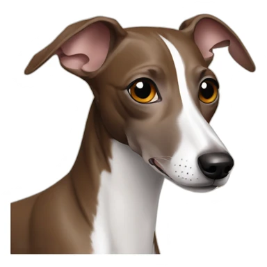 Brown and white Italian greyhound sticker
