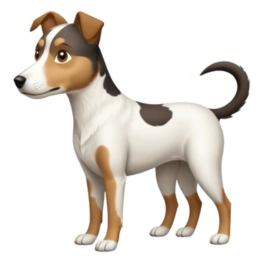 a full body large white parson russell looking dog the size of a kelpie with light brown flopped down ears and a light brown patch on one eye and a large snout sticker