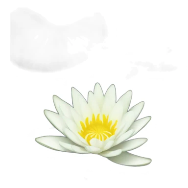 white waterlily sticker
