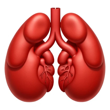 kidneys sticker