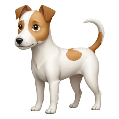 a full body slightly chubby white parson russell terrier looking dog the size of a kelpie with light brown long ears and a light brown patch on one eye and a large snout. the rest of the dog is completely whiteforward facing sticker