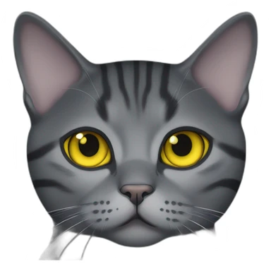 british shorthair cat in the Color black smoke with brighter stripes and yellow eyes sticker