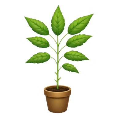 Weed plant sticker