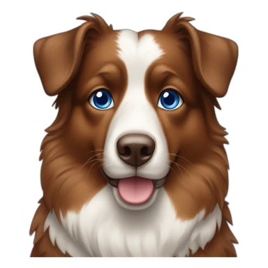 Berger australien brown tricolore blue eyes sticker