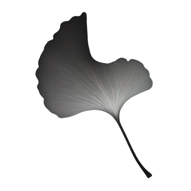 single leaf minimal black and white ginkgo sticker