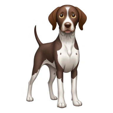 German shorthair pointer sticker