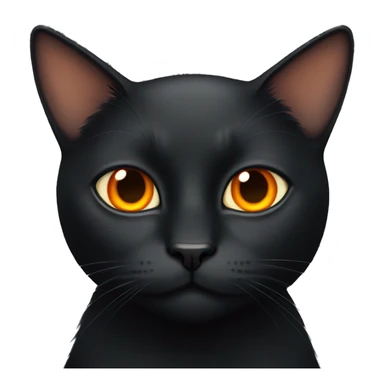 Black cat with orange eyes sticker