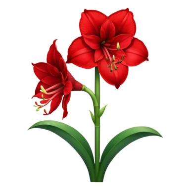 Can you make red Amaryllis sticker