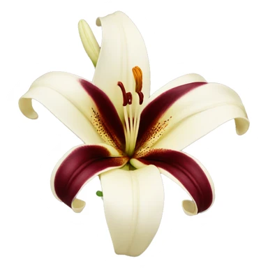 realistic cream and burgundy lily sticker