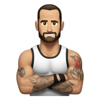 WWE cm punk sticker