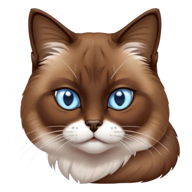 Cinematic Grumpy Brown Mantle Snowshoe Cat Portrait Emoji, Head tilted slightly with a deeply unimpressed expression, rich brown fur blanketing its back, contrasted by its signature white paws, chest, and face, piercing icy-blue eyes narrowed into an unamused glare, Simplified yet comically expressive features, highly detailed, glowing with a dry, sarcastic glow, high shine, effortlessly judgmental yet dignified, stylized with a touch of cynicism, bright but brooding, soft glowing outline, capturing the essence of an eternally unimpressed yet endearing feline, so lifelike it feels like it could sigh heavily at you in disdain at any moment! sticker