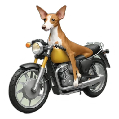 podenco on motorbike sticker