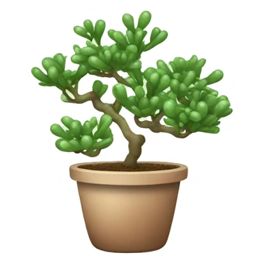Jade plant sticker