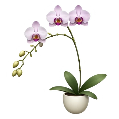 orchid sticker