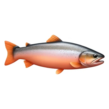 salmon fish sticker