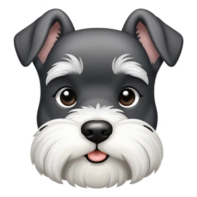 black and white erect ear schnauzer sticker