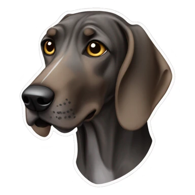 Plott hound sticker